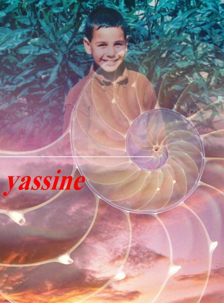 !!!!!!!!